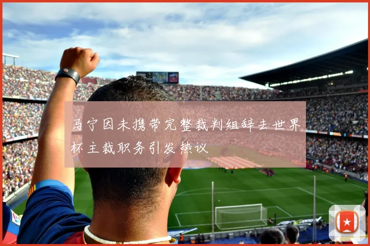 马宁因未携带完整裁判组辞去世界杯主裁职务引发热议